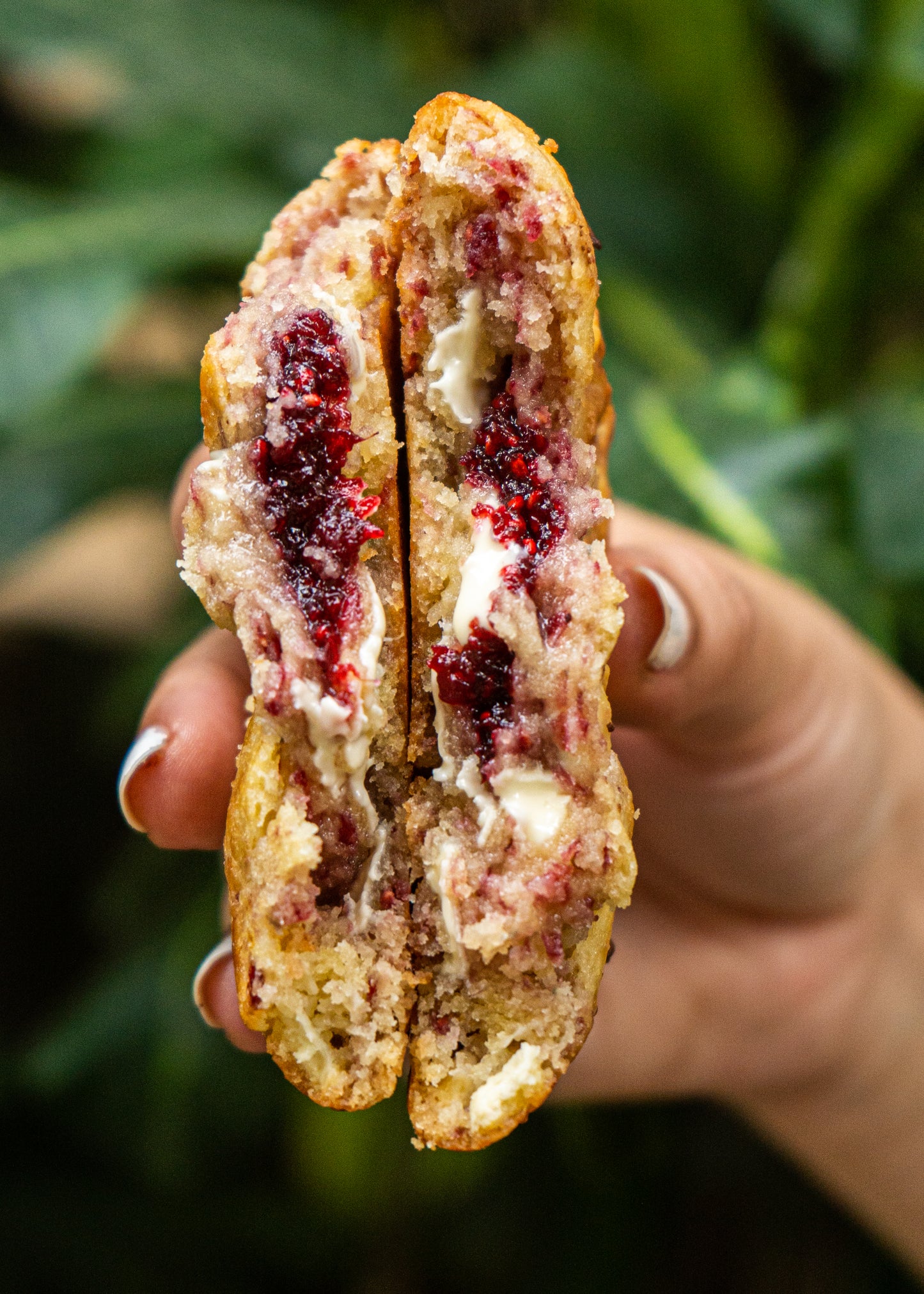 White Chocolate Raspberry Cookies